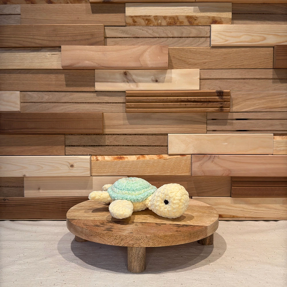 Small Shelly - Végétal