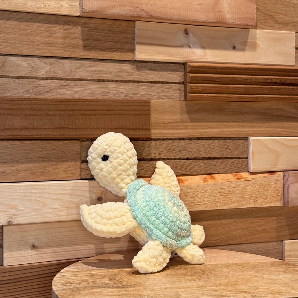 Small Shelly - Végétal