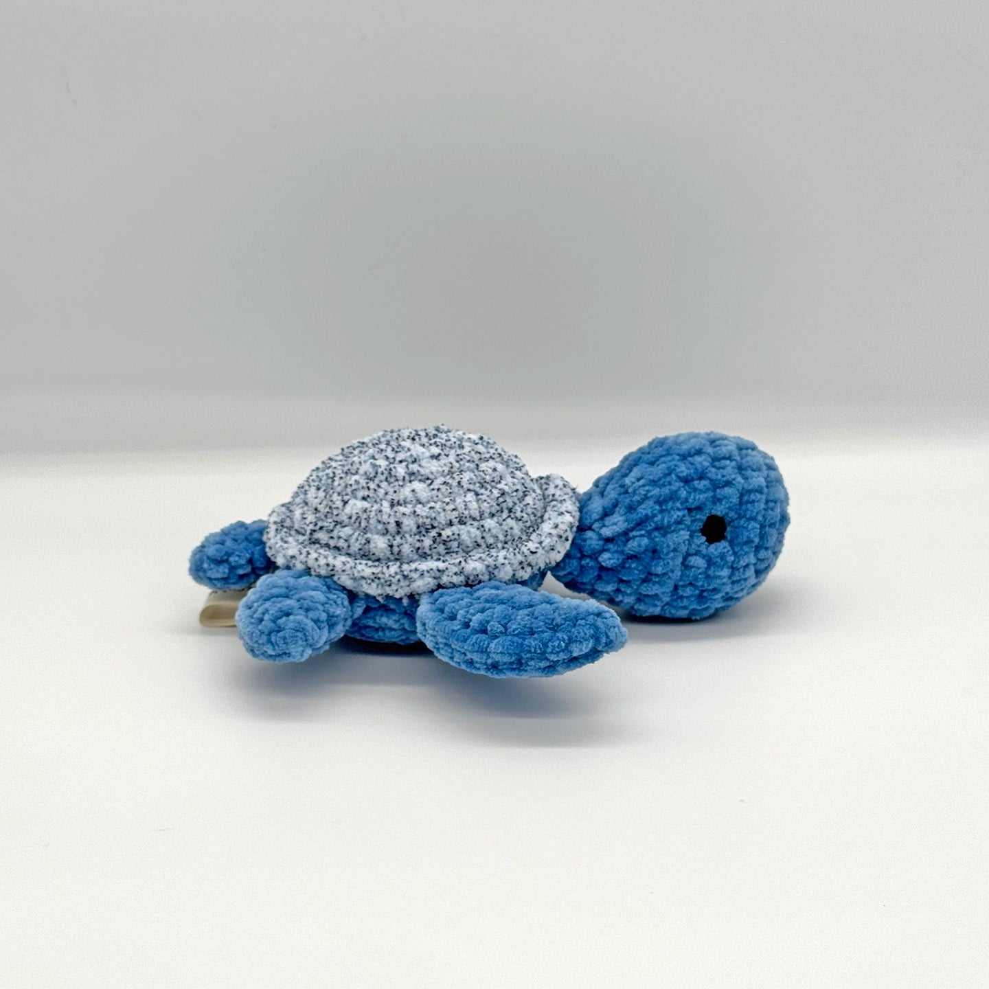 Small Shelly - Océan