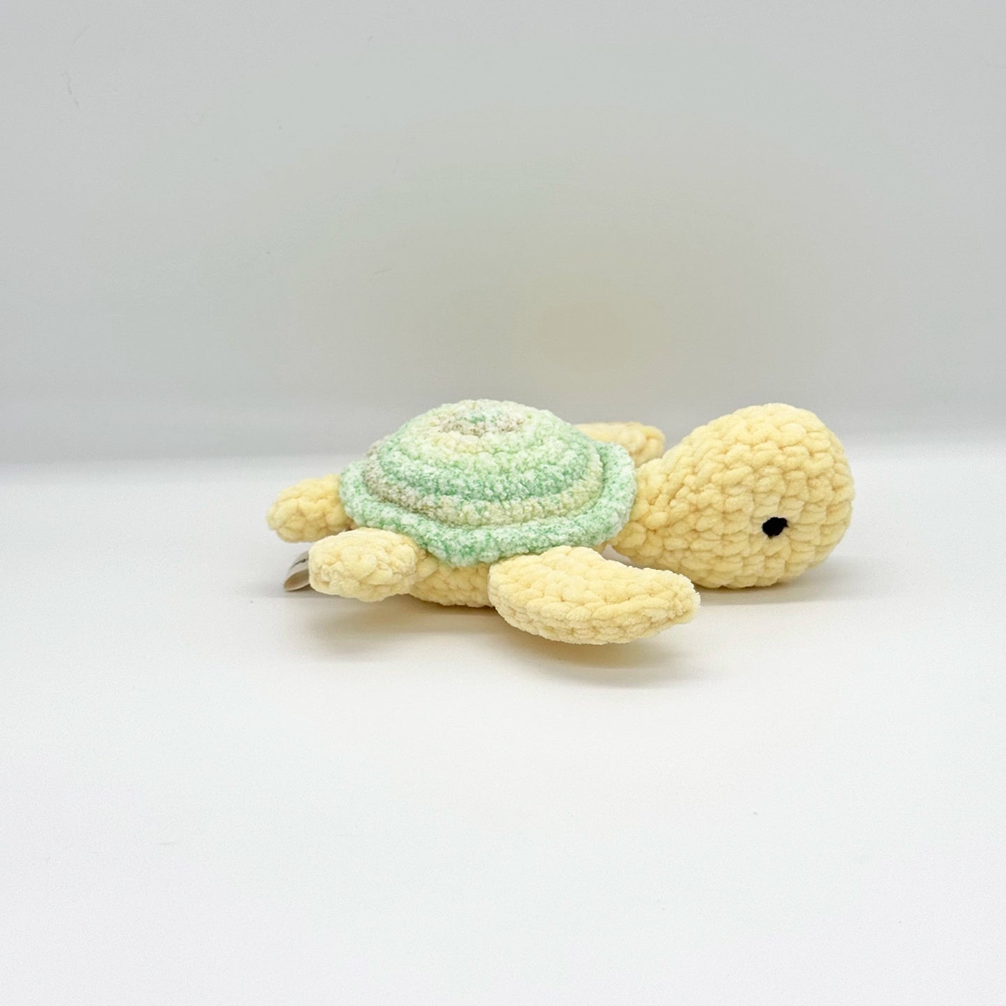 Small Shelly - Végétal